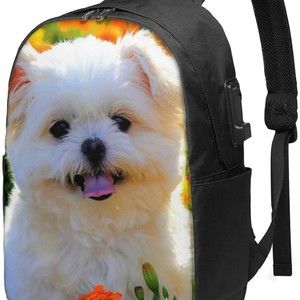 Meet your Posher, Carpenter